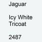 Preview: Jaguar, Icy White Tricoat, 2487.